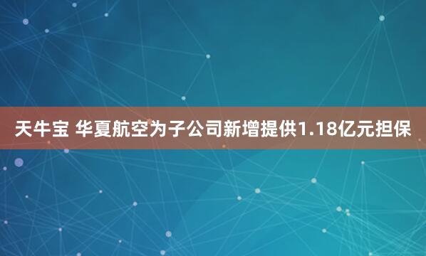 天牛宝 华夏航空为子公司新增提供1.18亿元担保