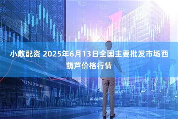 小散配资 2025年6月13日全国主要批发市场西葫芦价格行情